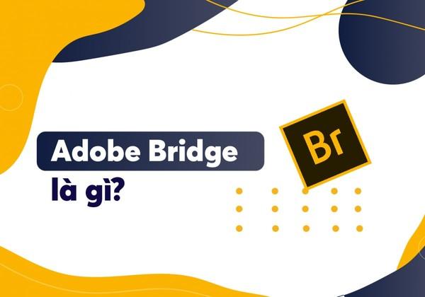 Adobe Bridge Có Thể Tạo Được Sản Phẩm Nào?