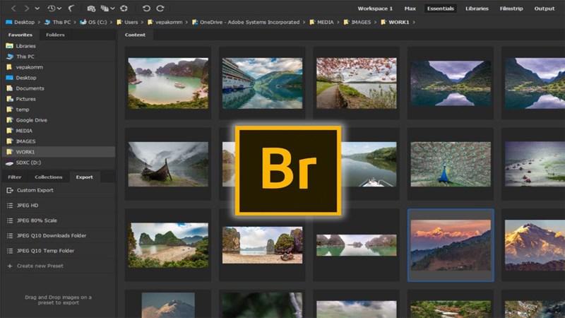 adobe-bridge-la-gi-a10-wikidown.net